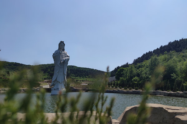 沈阳公墓传统忌日中，有哪些日子是专门用于祭祖和扫墓的？