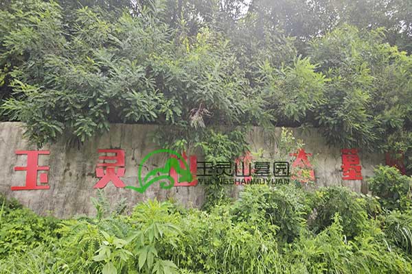 玉灵山公墓构建和谐陵园,守护哀思之所 玉灵山公墓构建和谐陵园,守护哀思之所